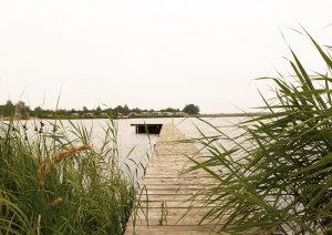 Bungalows Lauwersoog