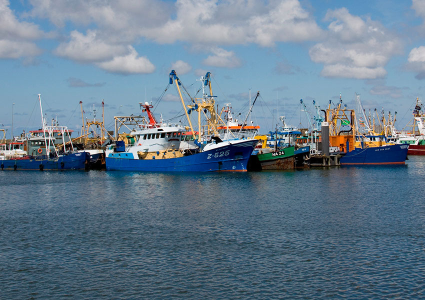 Vakantiehuisje Lauwersoog